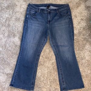 Lane Bryant boot cut jeans